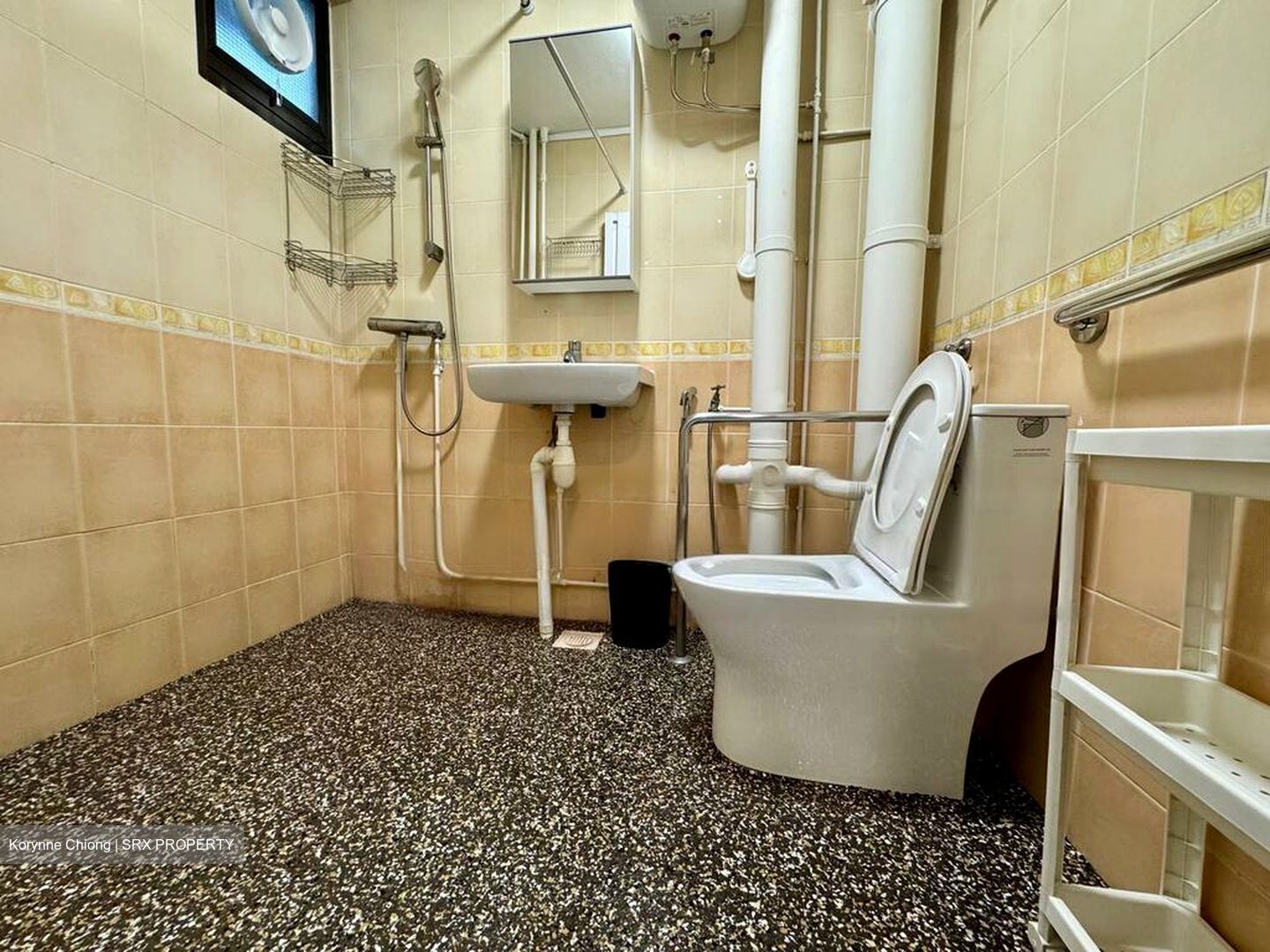 Blk 113 Depot Heights (Bukit Merah), HDB 5 Rooms #452570031